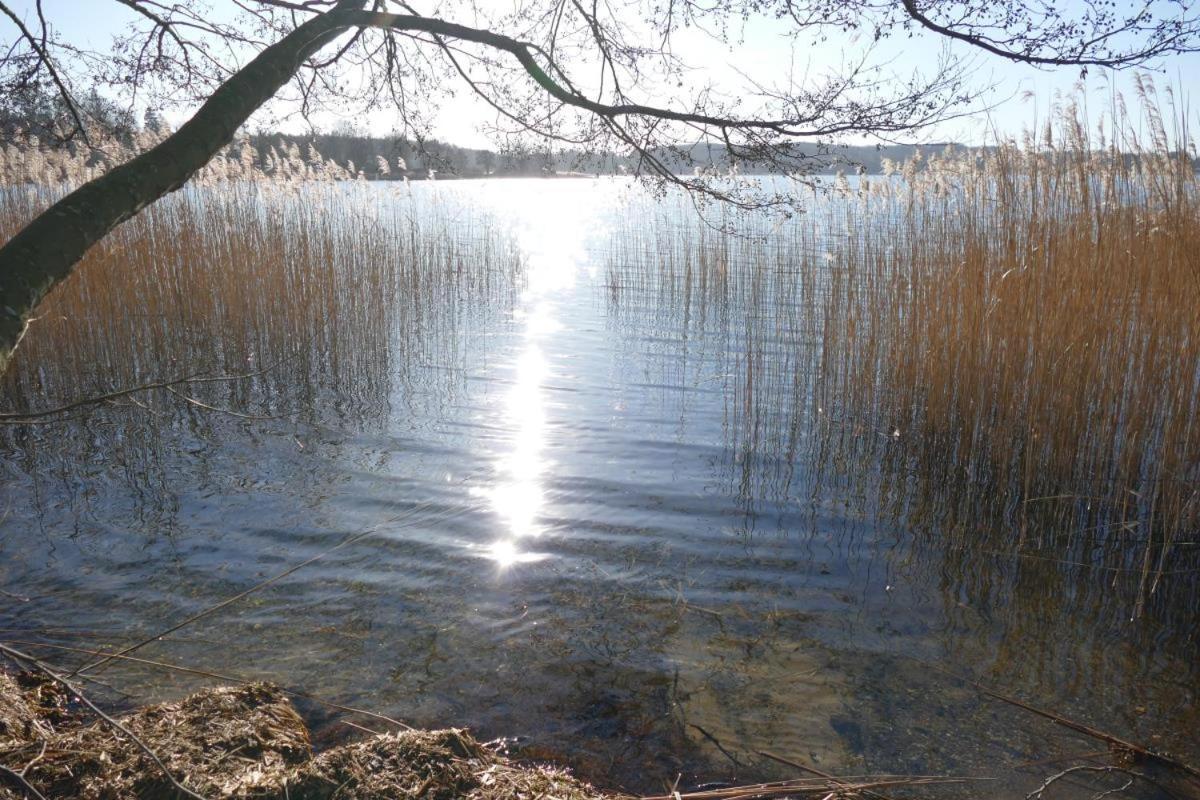 Landhaus Am See App. 2 Ponitz am See Esterno foto