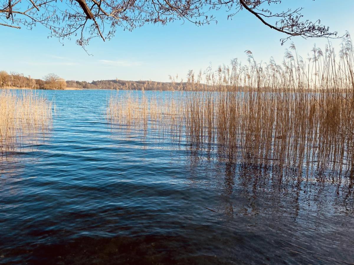 Landhaus Am See App. 2 Ponitz am See Esterno foto